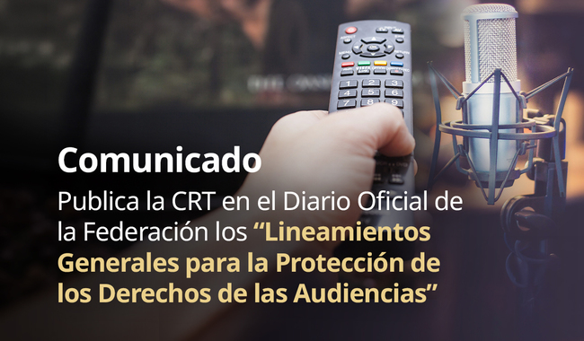 CRT lineamientos audiencias