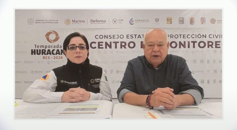 La coordinadora nacional de Protección Civil, Laura Velázquez, hace un llamado a quedarse en casa por "Polo".