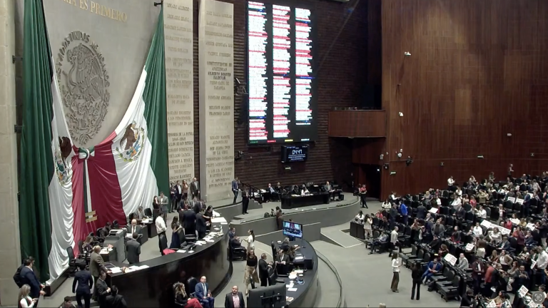 Cámara de Diputados. ---- La Cabeza De Ratón