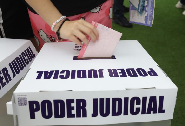 IECM sobre Poder Judicial. ---- La Cabeza De Ratón