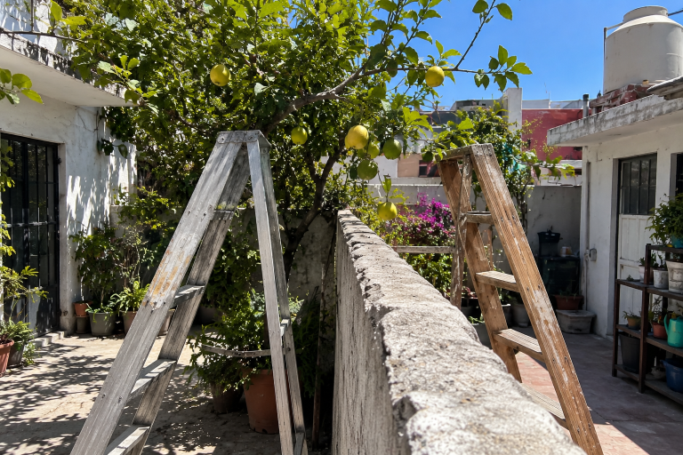 Los limones vecinales